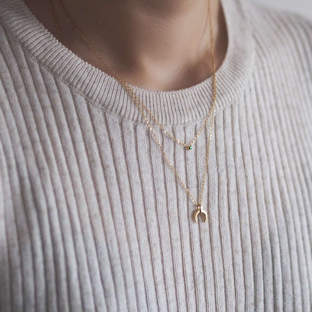 Dyllis Double Layer Horn Necklace