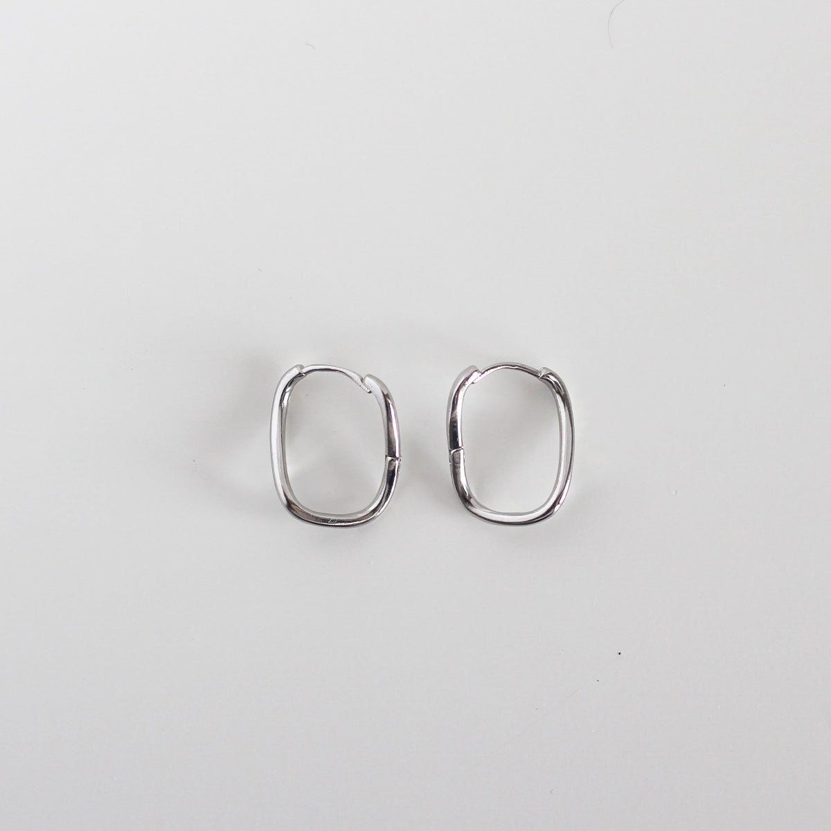 Abigail Irregular Hoop Earrings