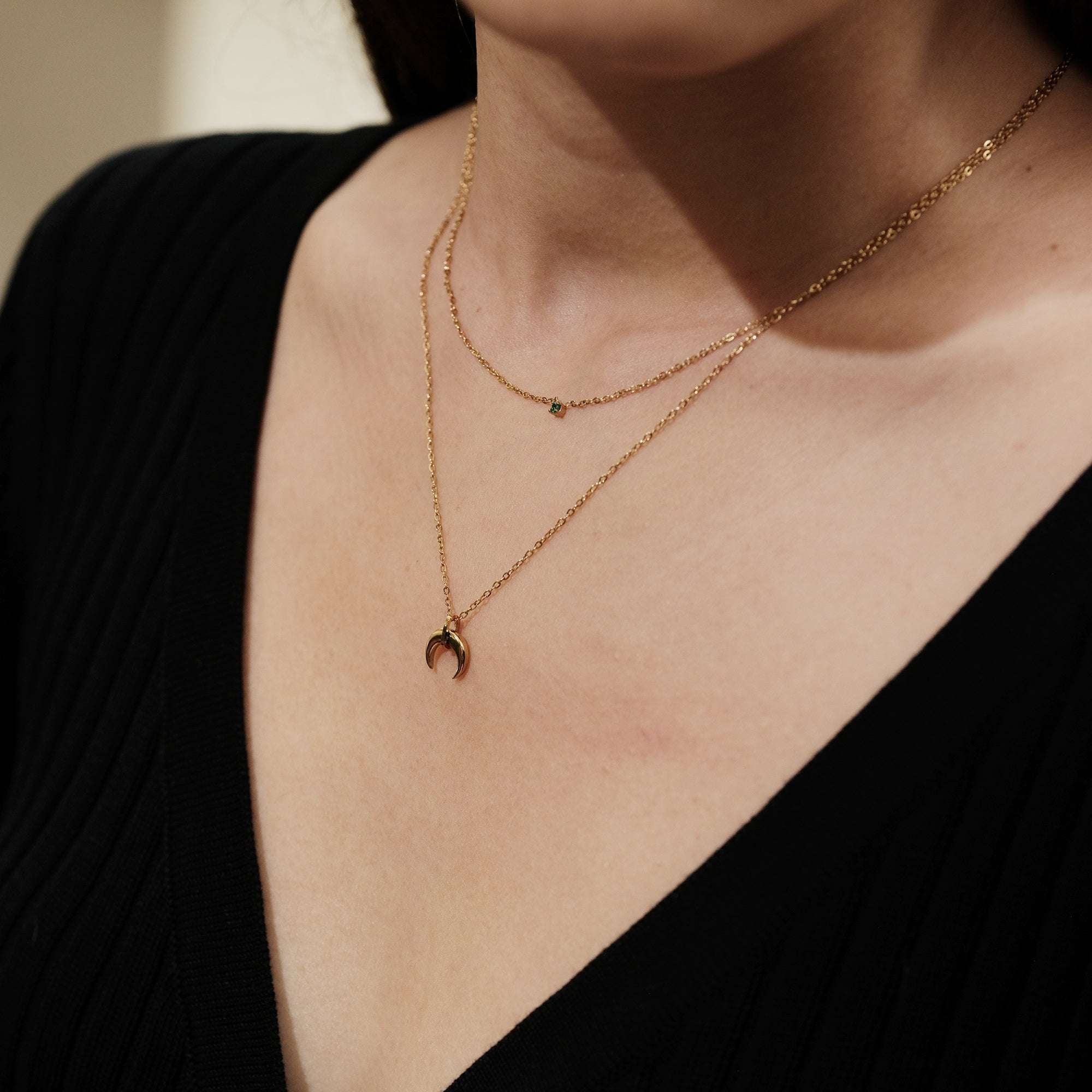 Dyllis Double Layer Horn Necklace
