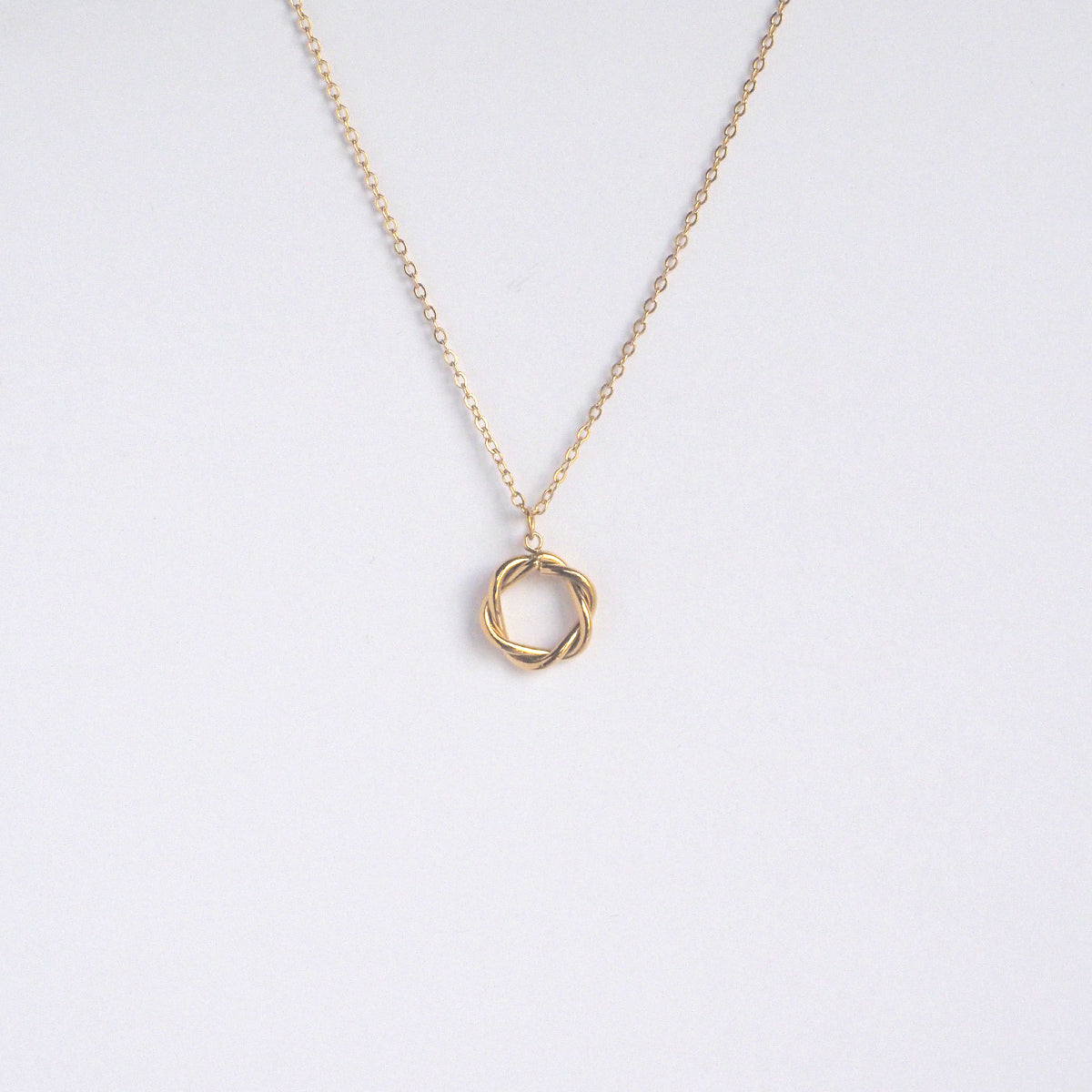 Twist Hoop Necklace