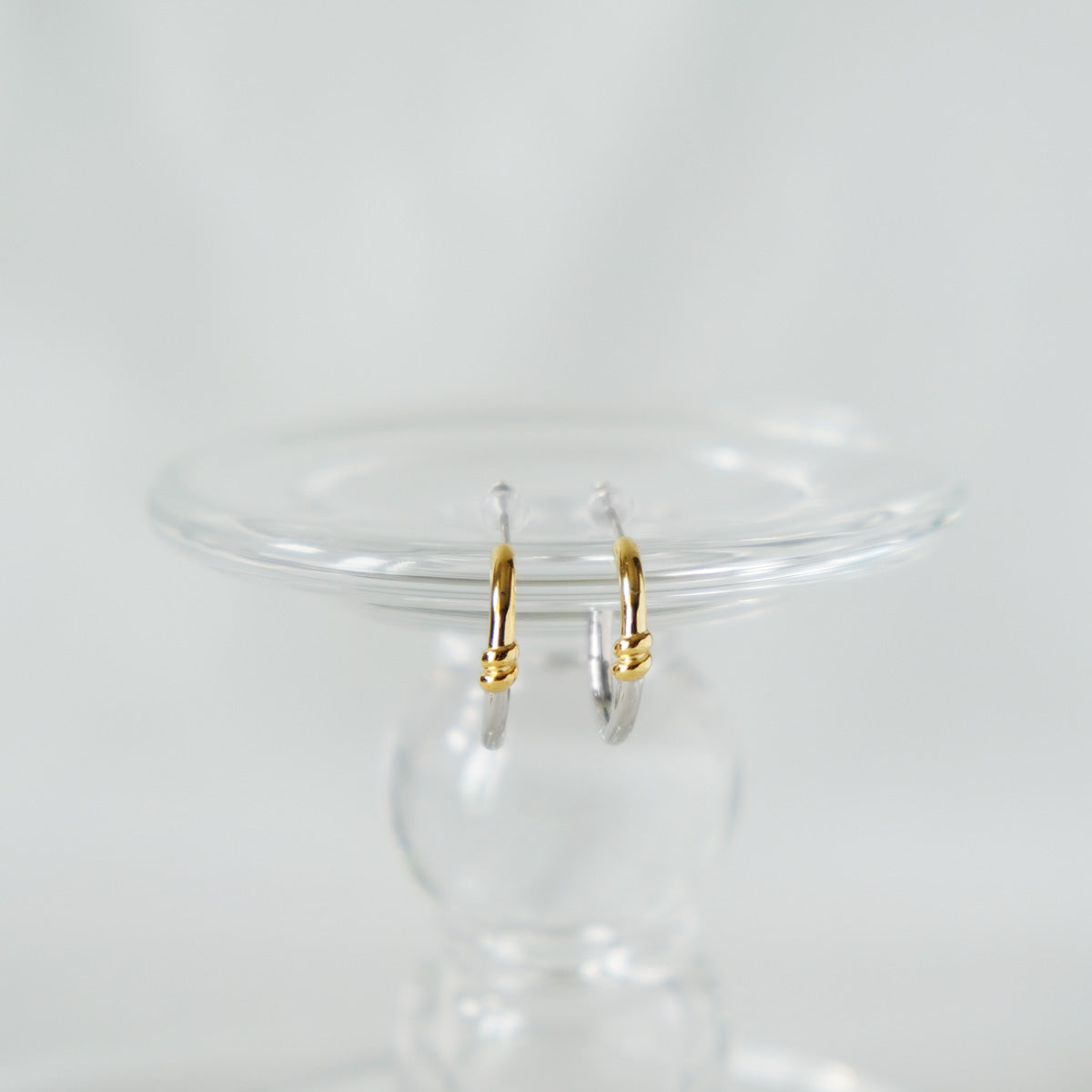 Paige 2-Tone Earrings