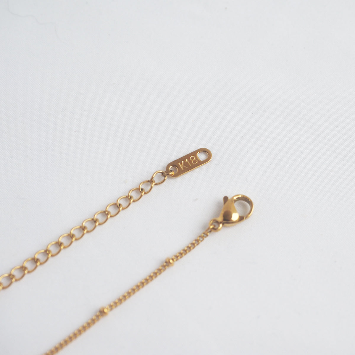 Wicket Shell Charm Necklace