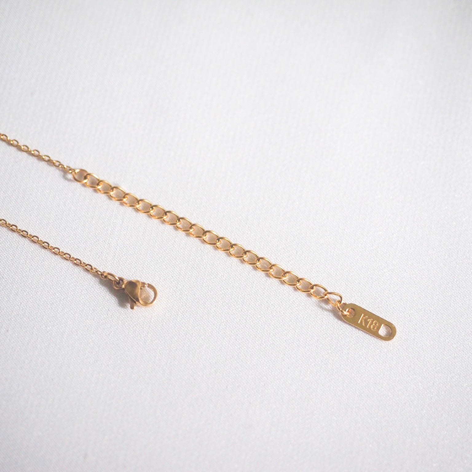Terah Hammered Plate Necklace