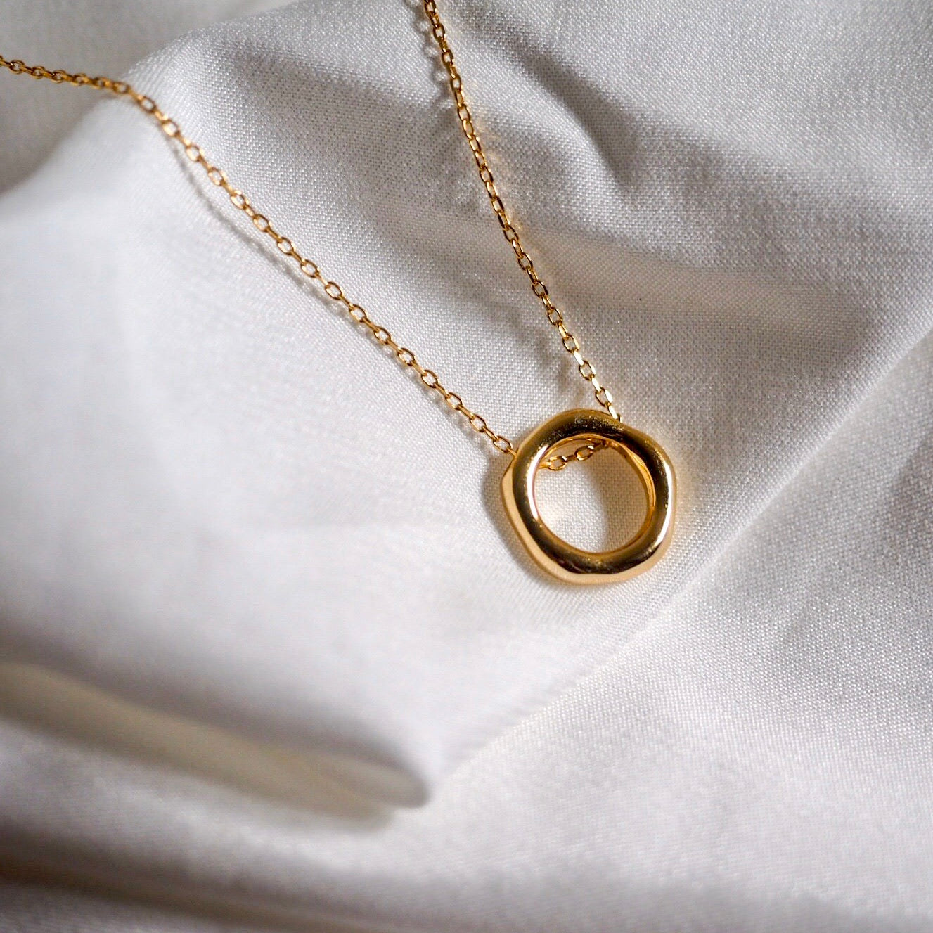 Quinn Irregular Hoop Necklace