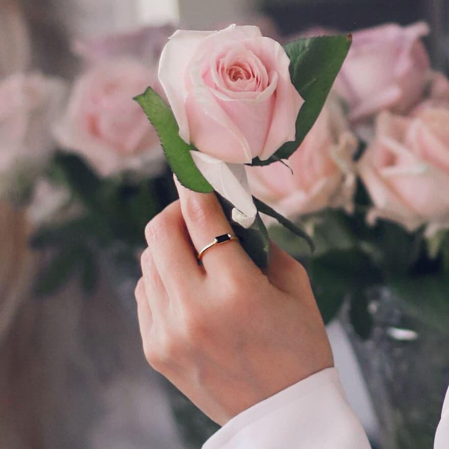 A graceful hand cradles a delicate pink rose, adorned with a gold ring set with black zirconia, exuding elegance and beauty.