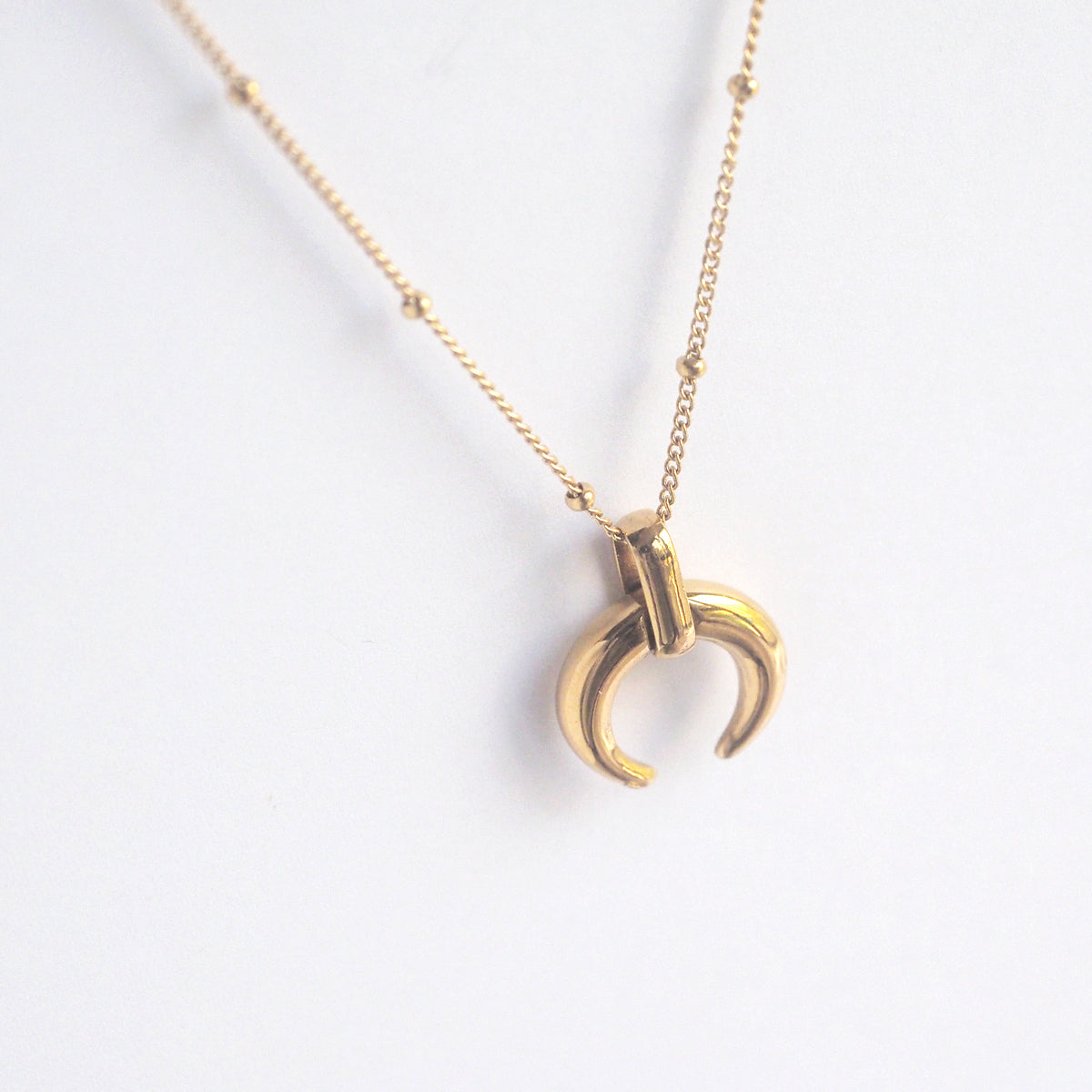 Horn Necklace