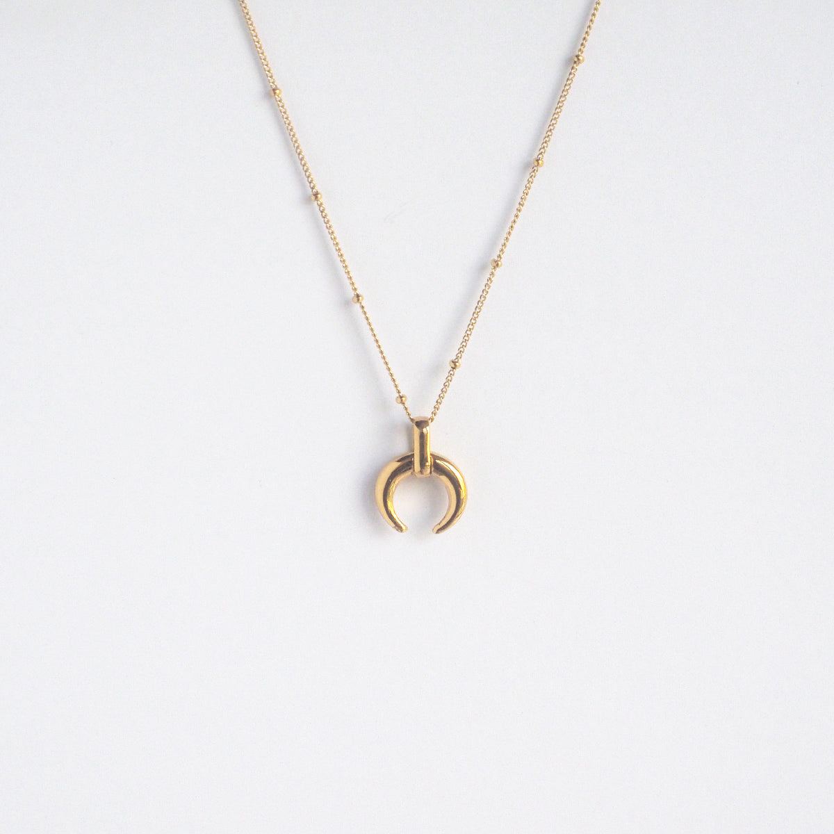 Horn Necklace