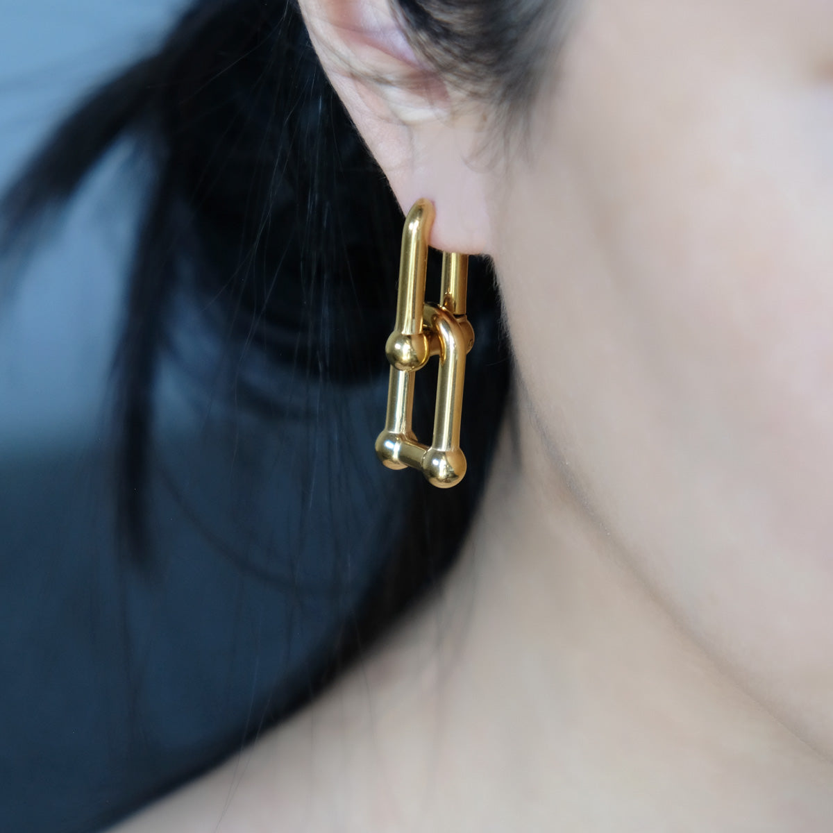 Horseshoe Link Earrings