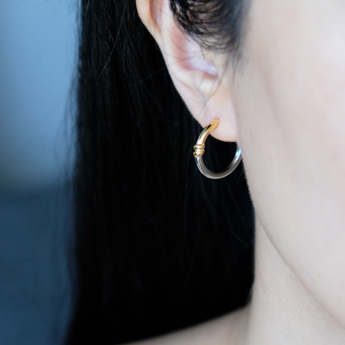 Paige 2-Tone Earrings