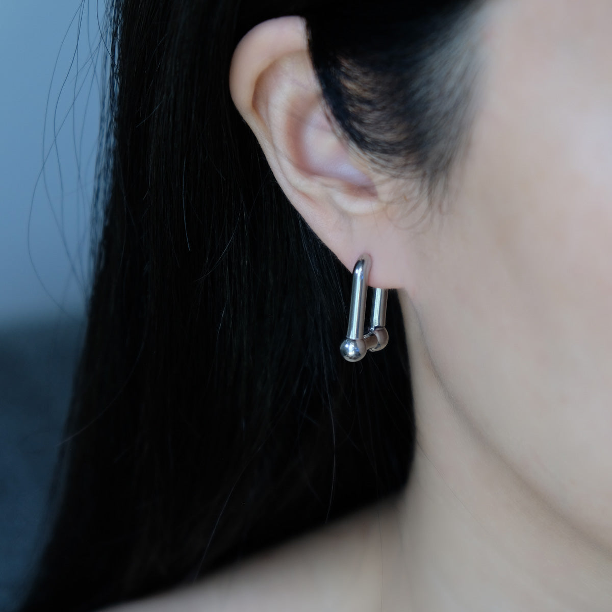 Horseshoe Link Earrings